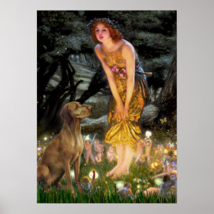 Vizsla 1 - MidEve Poster