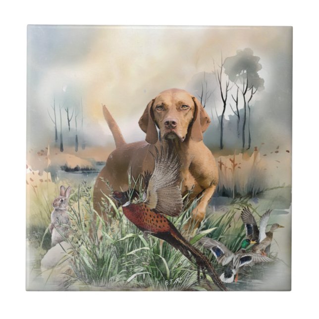 Vizsla, Art Fliese (Vorderseite)