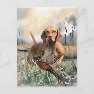 Vizsla, Art Postkarte