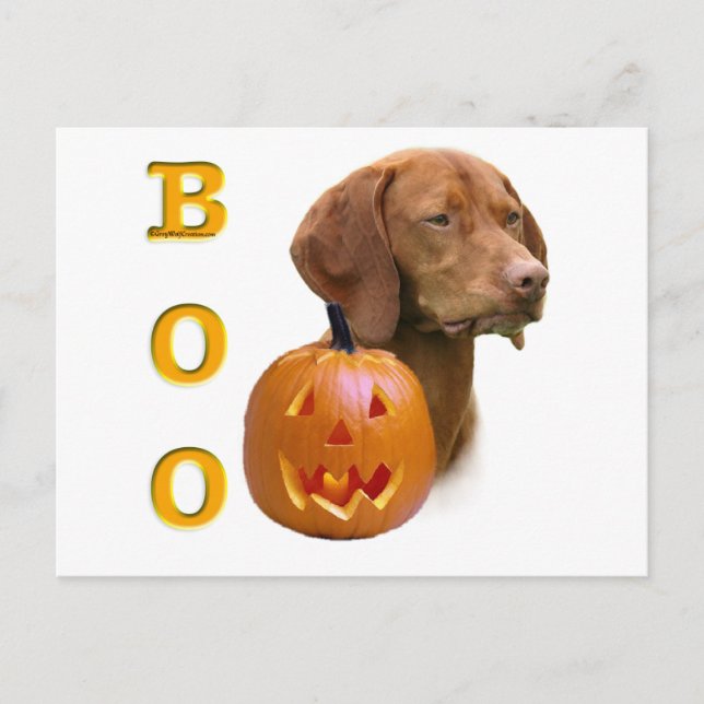 Vizsla Boo Postkarte (Vorderseite)