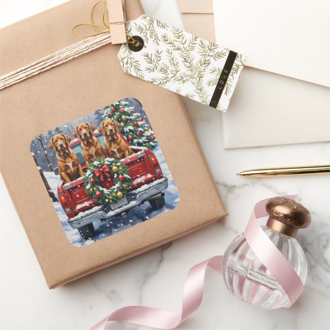Vizsla Christmas Red Truck Holiday Quadratischer Aufkleber (Schenken)