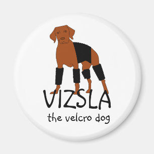 Vizsla Der Velcro-Dog-Magnet Magnet