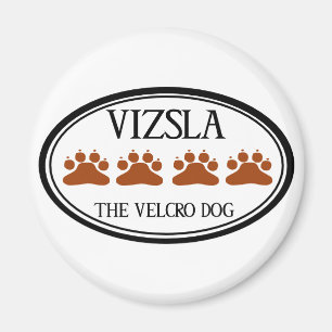 Vizsla Der Velcro-Dog-Magnet Magnet