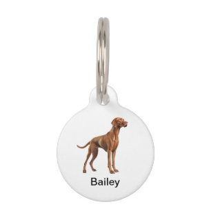 Vizsla Dog Breed Monogram Hund ID Tags Haustiermarke