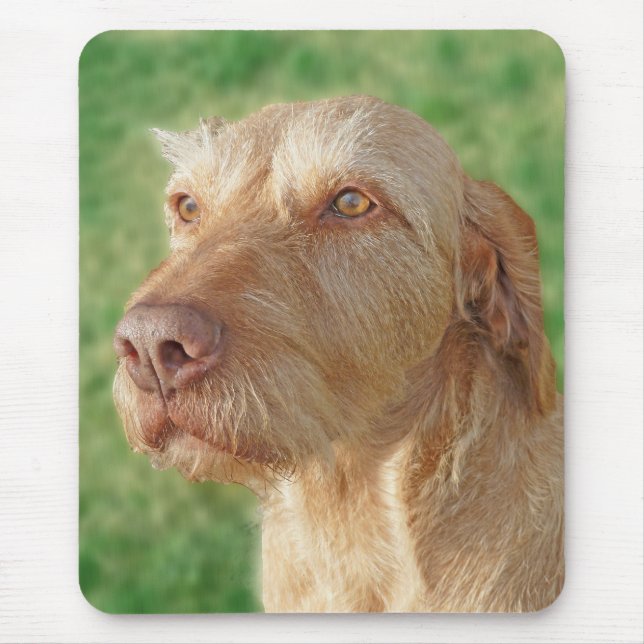 Vizsla erstellen Sie Ihr eigenes Foto für Haustier Mousepad (Vorne)