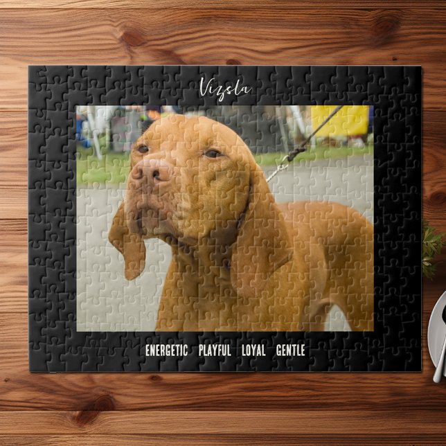Vizsla Foto Dog Breed Jigsaw Puzzle (Von Creator hochgeladen)