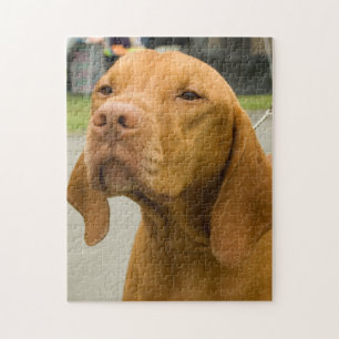 Vizsla Foto Jigsaw Puzzle