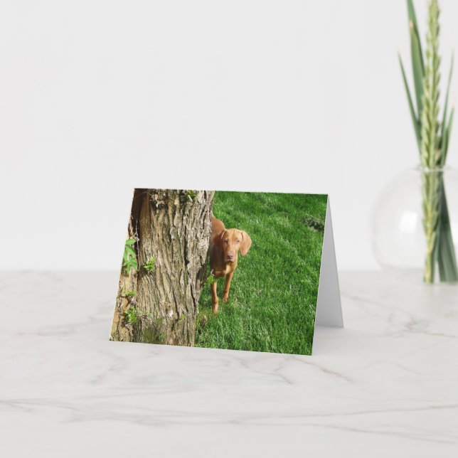 Vizsla Greeting Cards Karte (Vorderseite)