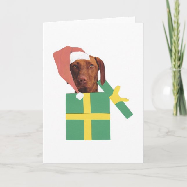 Vizsla grüne Geschenkboxen Feiertagskarte (Vorderseite)