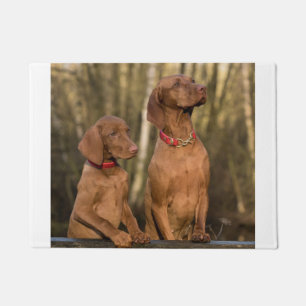 vizsla Gruppe Fußmatte
