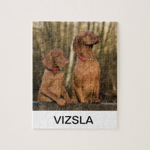 vizsla Gruppe Puzzle