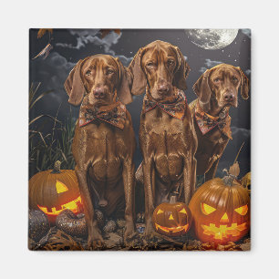 Vizsla Halloween Gruselig Magnet