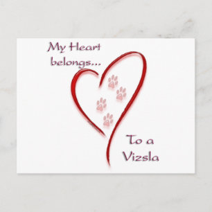 Vizsla Heart Belongs Postkarte