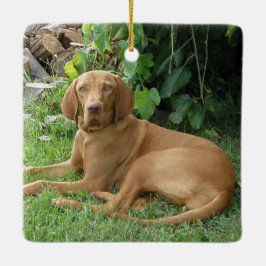 Vizsla Hound Dog Keramikornament