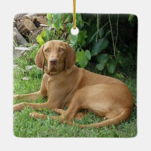 Vizsla Hound Dog Keramikornament
