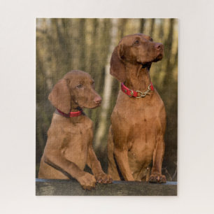 Vizsla Hound Dogs Puzzle