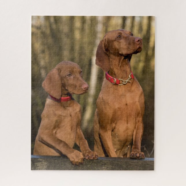 Vizsla Hound Dogs Puzzle (Vertikal)