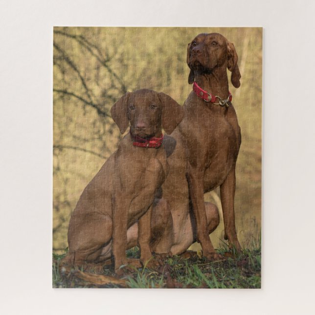 Vizsla Hound Dogs Puzzle (Vertikal)