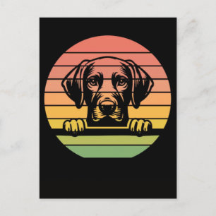 Vizsla-Hund schaut Sonnenuntergang Retro-Hundelieb Feiertagspostkarte