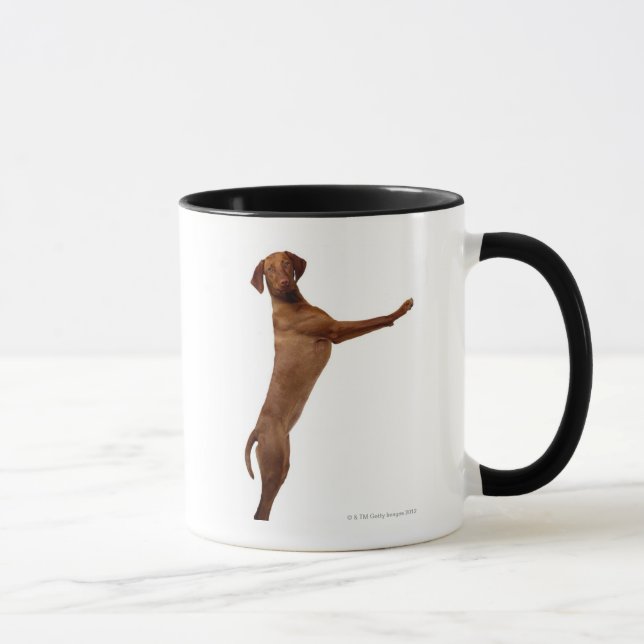 Vizsla Hund Tasse (Rechts)