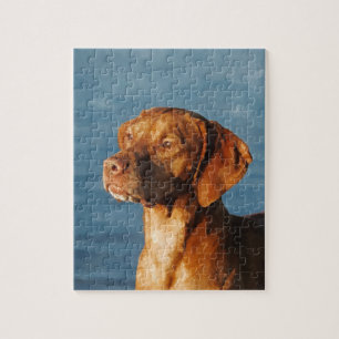 Vizsla Hund - ungarischer Jagdhund Puzzle