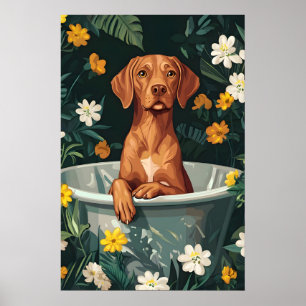 Vizsla In Badewanne Poster, Lustiges Hundeposter, Poster