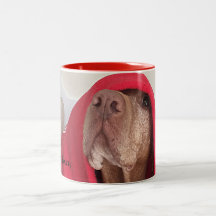 Vizsla Kaffee-Tasse