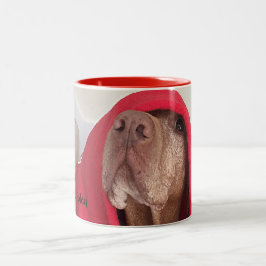 Vizsla Kaffee-Tasse Zweifarbige Tasse