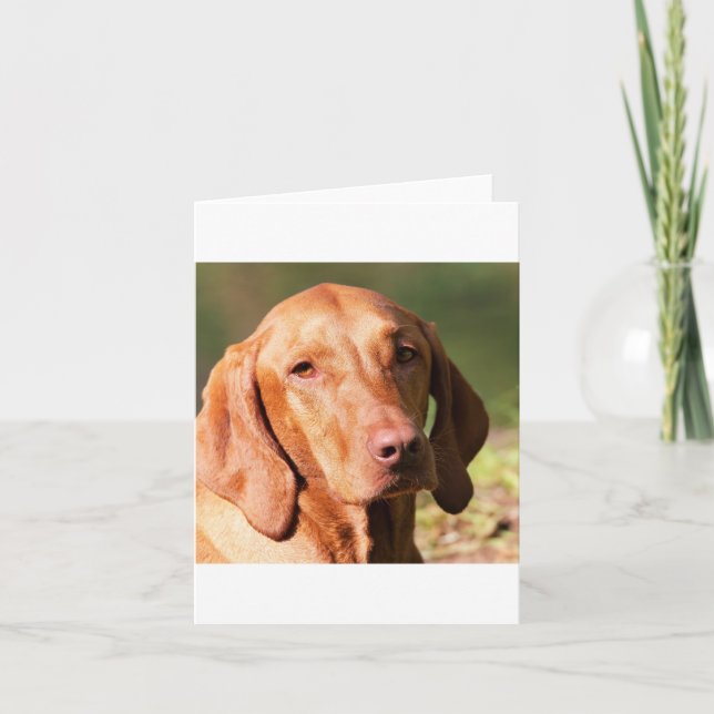 Vizsla Karte (Vorderseite)