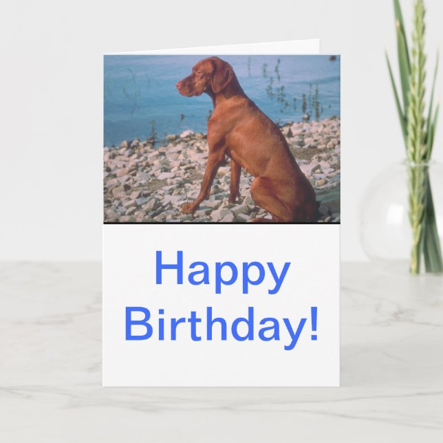 Vizsla Karte (Vorderseite)