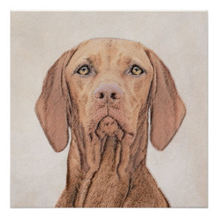 Vizsla-Malerei - Niedliche Original Hunde Kunst Poster