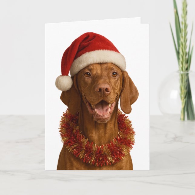 Vizsla mit Weihnachtsmannmütze Weihnachtskarte Karte (Vorderseite)