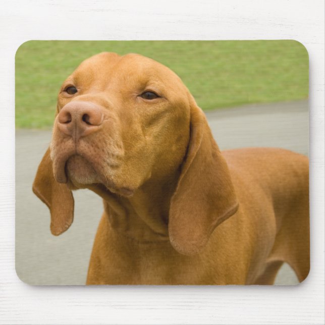 Vizsla Mousepad (Vorne)