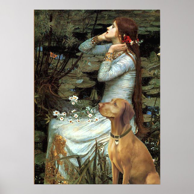 Vizsla - Ophelia - Sitzplatz Poster (Vorne)