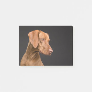 Vizsla Post-it Klebezettel