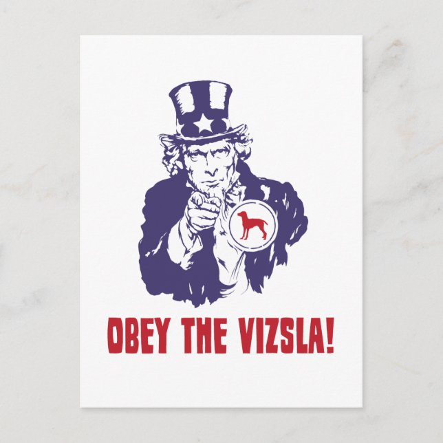 Vizsla Postkarte (Vorderseite)