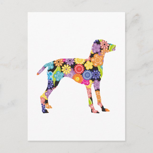 Vizsla Postkarte (Vorderseite)