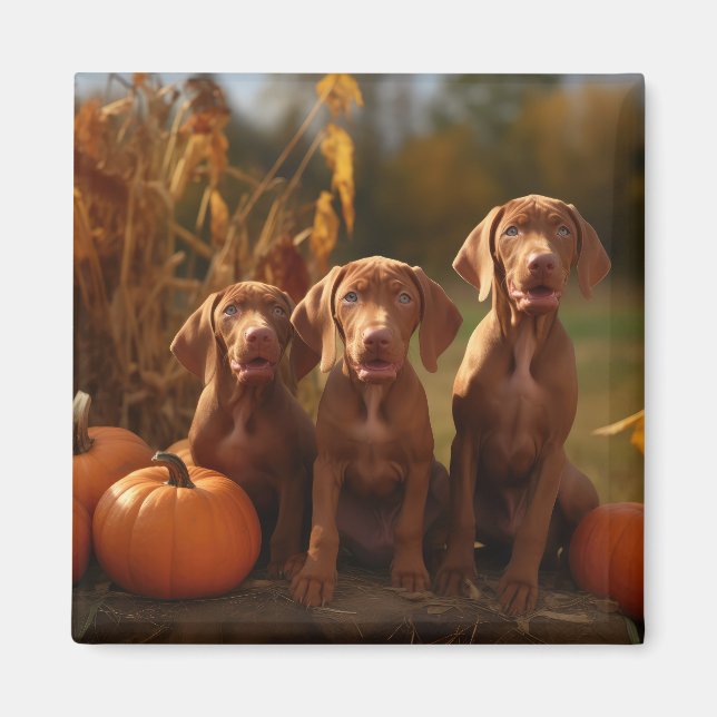 Vizsla Puppy Autumn Delight Pumpkin Magnet (Vorne)