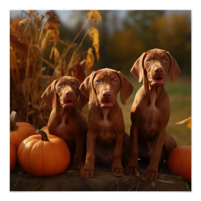 Vizsla Puppy Autumn Delight Pumpkin Poster