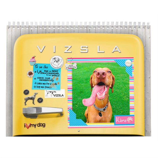 VIZSLA Retro Kühlschrank-Kalender Kalender (Titelbild)