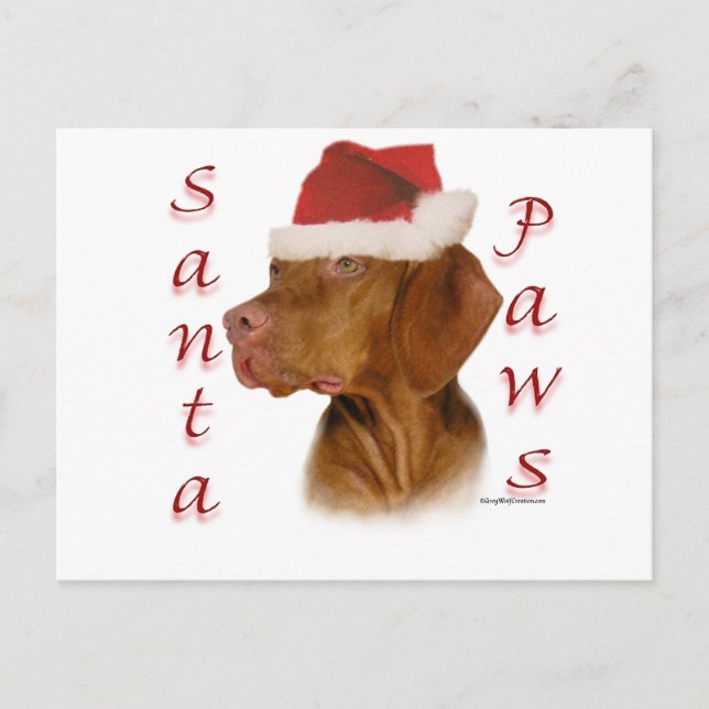 Vizsla Santa Paws Feiertagspostkarte (Vorderseite)