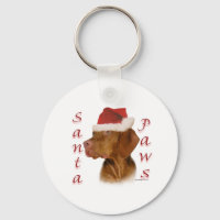 Vizsla Santa Paws