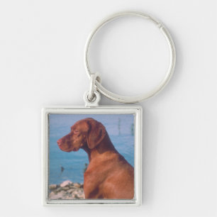 Vizsla Schlüsselanhänger