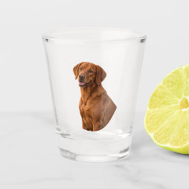 Vizsla-Schnapsglas Schnapsglas