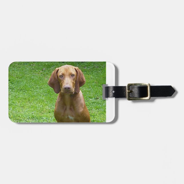 vizsla sitting.png gepäckanhänger (Vorderseite horizontal)