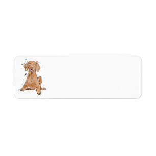 Vizsla Sitzend Cartoon