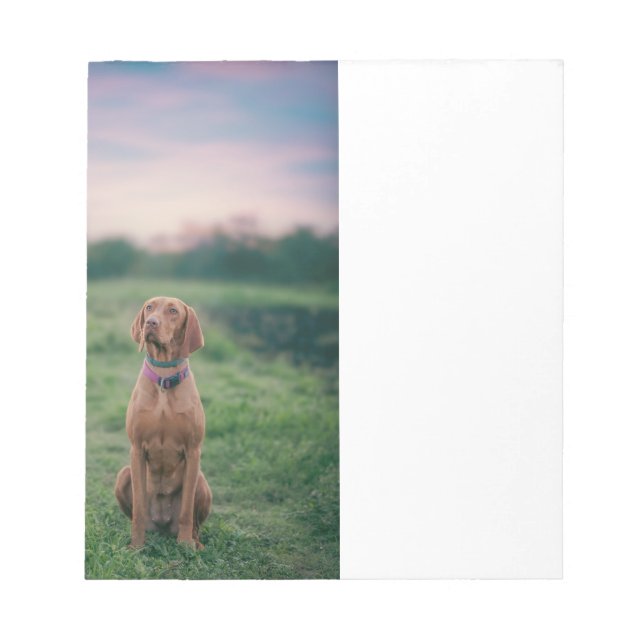 Vizsla sitzend notizblock (Vorderseite)