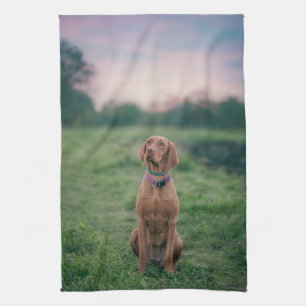 Vizsla-Sitzung Geschirrtuch