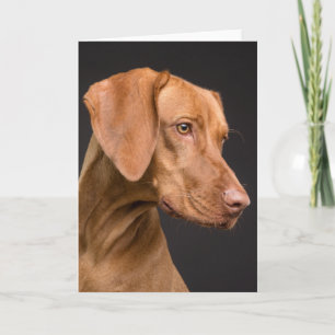 Vizsla Sporting Dog Dankeskarte