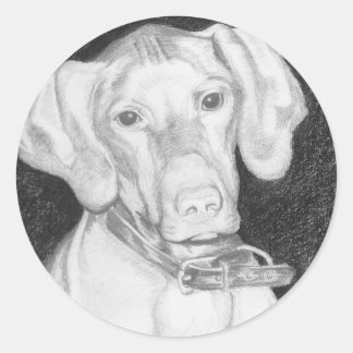 Vizsla Stickers